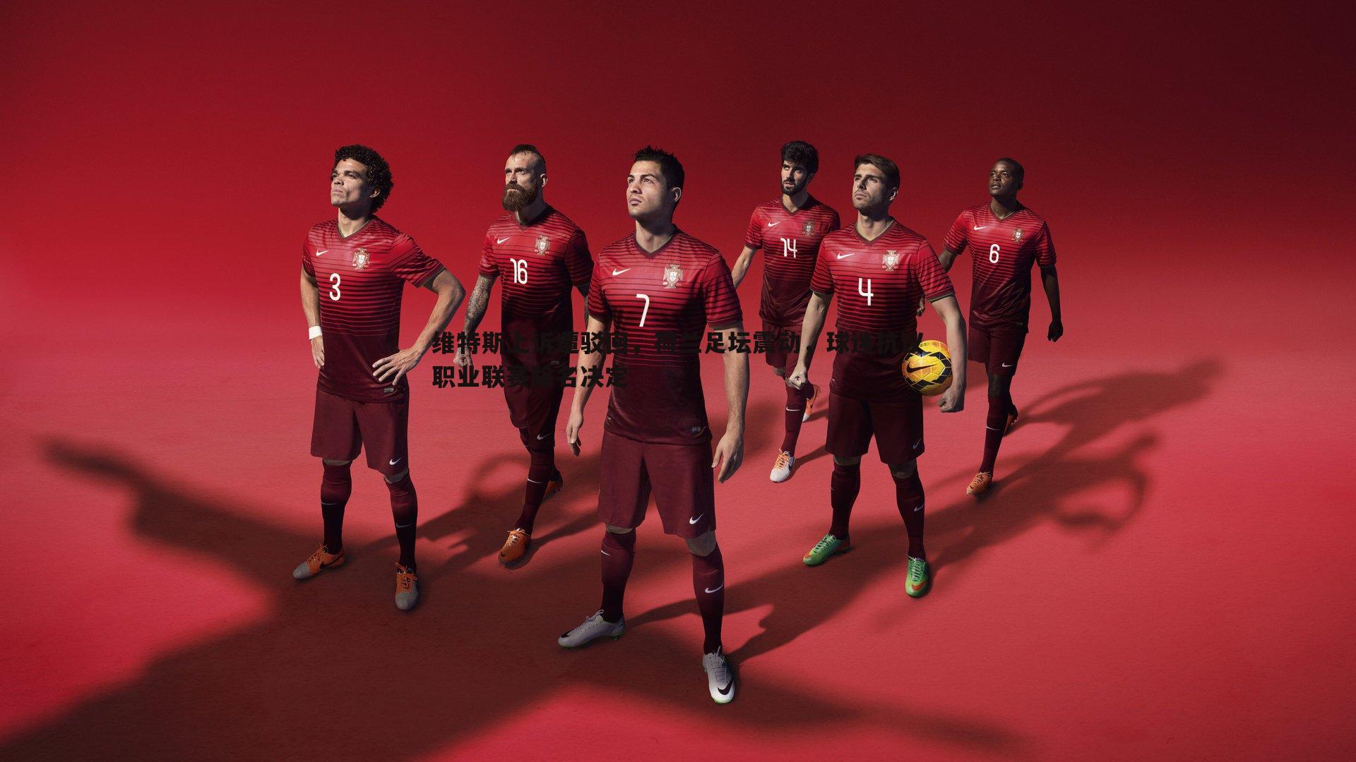 维特斯上诉遭驳回,荷兰足坛震动,球迷抗议职业联赛除名决定